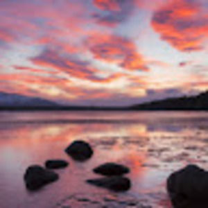 Meet your Posher, Mauricio